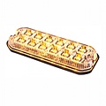 ElectraQuip  LED R65 heavy duty flitser 12-LED Amber 12/24v