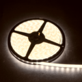 TRALERT® LED strip op rol 5m. / 12v / 1200lm per meter / 4000K / IP68