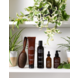 John Masters Organics Scalp Exfoliating Scrub with Sugar cane & Tea Tree Oil 142gr John Masters Organics Scalp Exfoliating Scrub with Sugar cane & Tea Tree Oil 142gr
