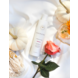 Innersense Organic Beauty I Create Volume 295ml Innersense Organic Beauty I Create Volume 295ml