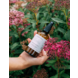 Made by Coopers Calm Room Spray 100ml Made by Coopers Calm Room Spray 100ml