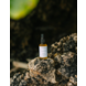 Made by Coopers Superfood Face Firming Serum 30ml Made by Coopers Superfood Face Firming Serum 30ml