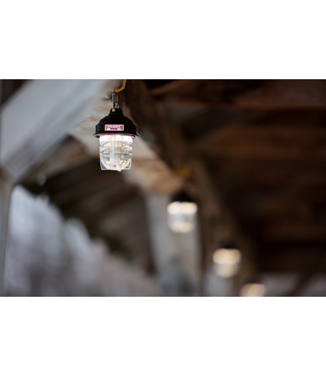 Barebones Beacon Light - Brons - oplaadbaar