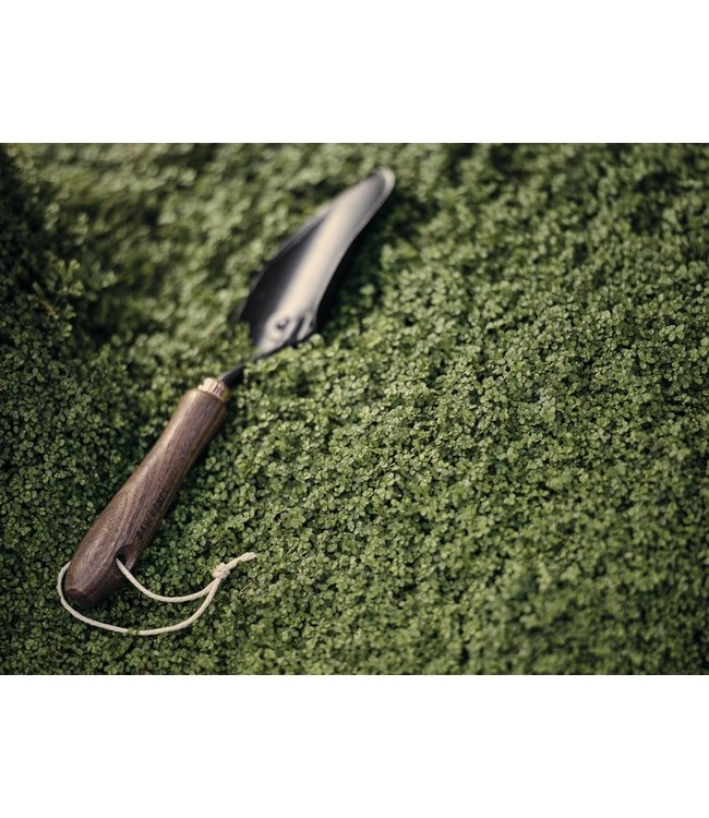 Barebones Spade - Schepje - Walnoot