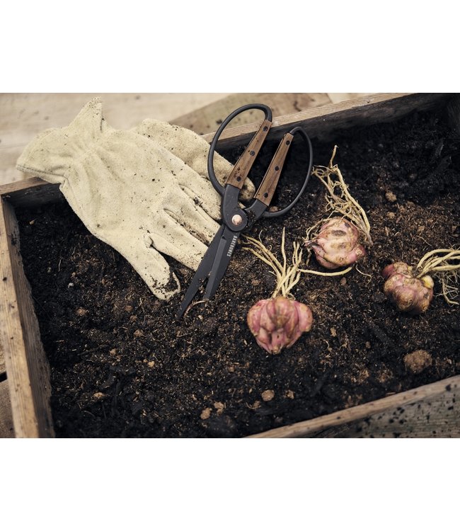 Barebones Tuinschaar groot - Walnoot