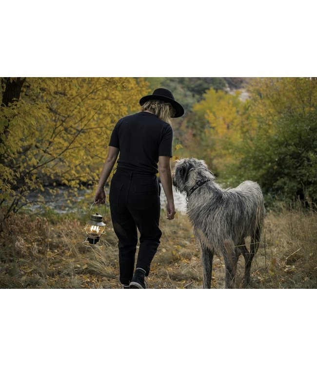 Barebones Railroad Lantaarn - Olive - USB oplaadbaar - olijfgroen