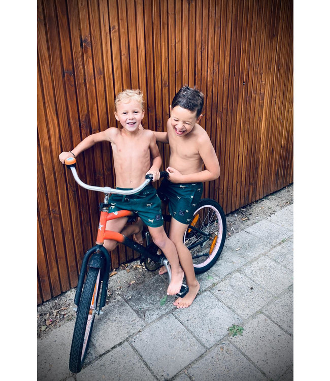 Son of a Beach Zo Vader Zo Zoon/Dochter Matching zwembroeken - Panter