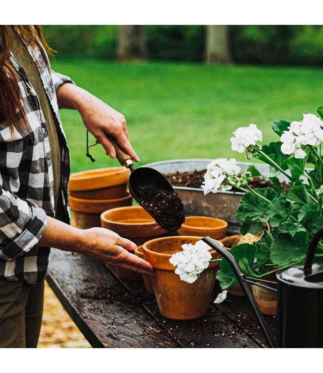 Barebones Tuinschep - walnoot