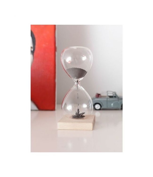 Kikkerland Magnetische zandloper