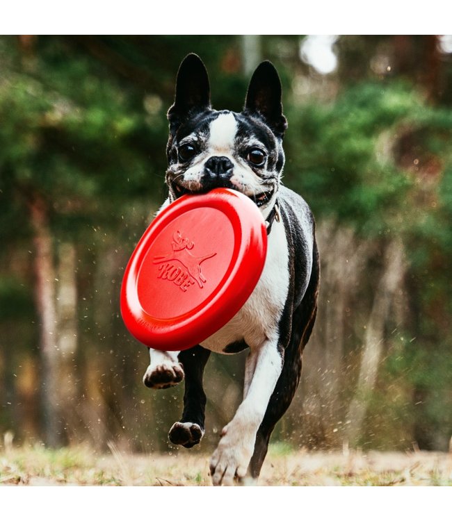 Kobe Frisbee met bacon geur | hondenspeeltje