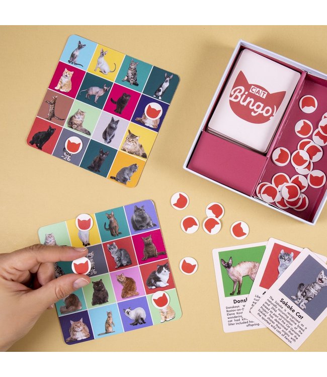 Kikkerland Katten Bingo