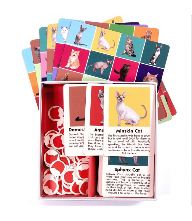 Kikkerland Katten Bingo