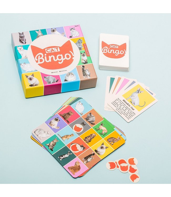 Kikkerland Katten Bingo