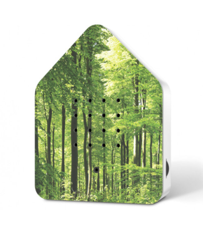 Relaxound 'Vogelhuis' Forest | Zwitscherbox