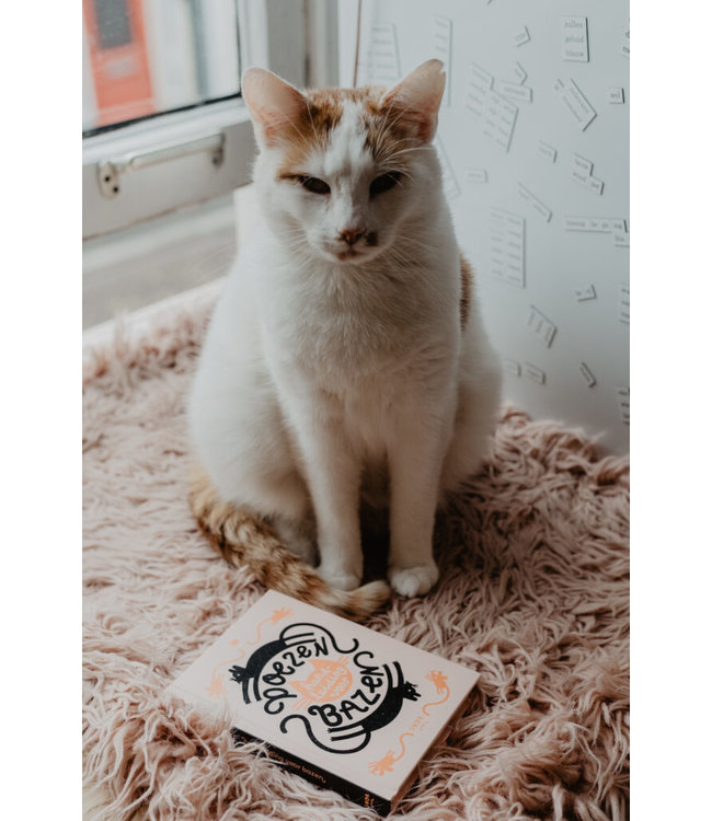 Uitgeverij Snor Poezen - een handleiding voor bazen