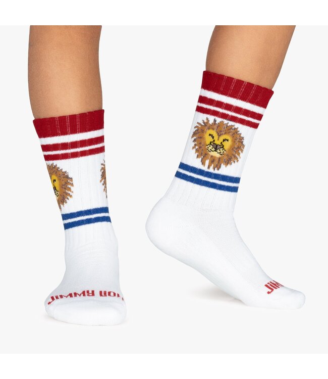 Eenmannenkado Zo Vader Zo Zoon/Dochter sokken Lion athletic
