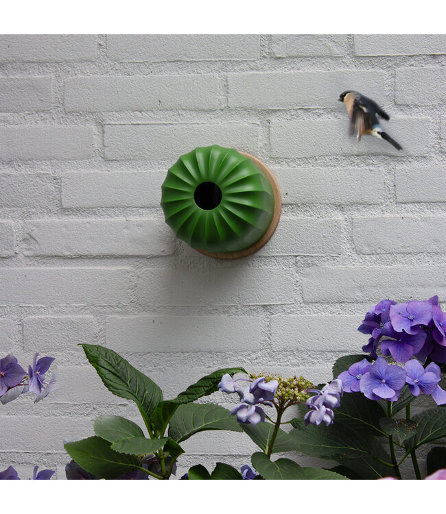 Heeej Vogel- & Voederhuisje Cactus