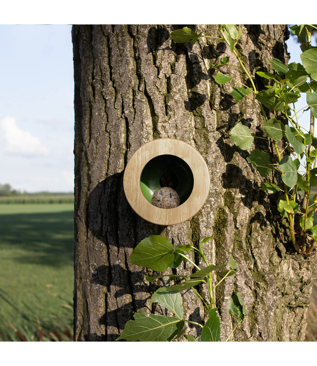 Heeej Vogel- & Voederhuisje Cactus