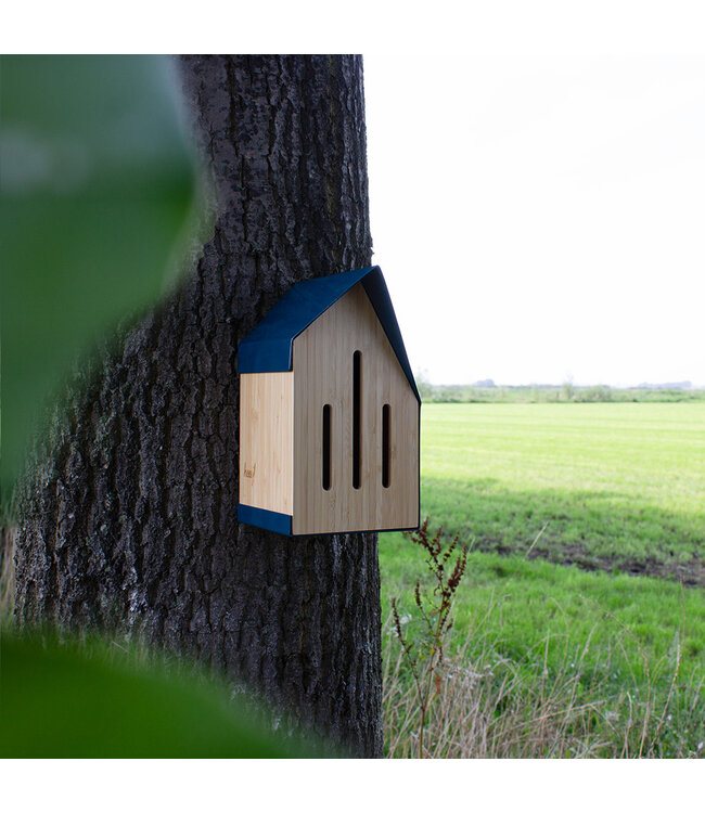 Heeej Vlinderhuis Happy Butterfly