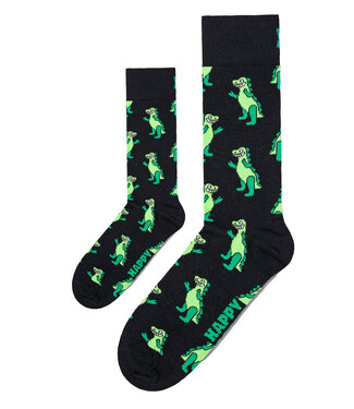 Happy Socks Matching sokken Dino groen