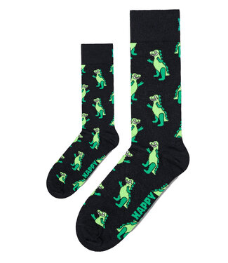 Matching sokken Dino groen