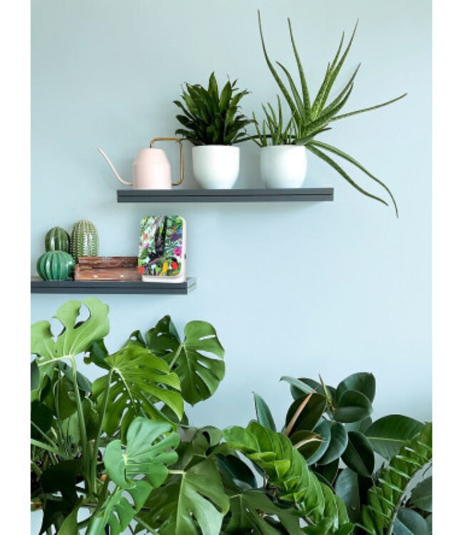 Relaxound Jungle Box | Tropic