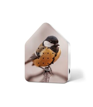 Relaxound 'Vogelhuis' Great Tit | Zwitscherbox Limited edition