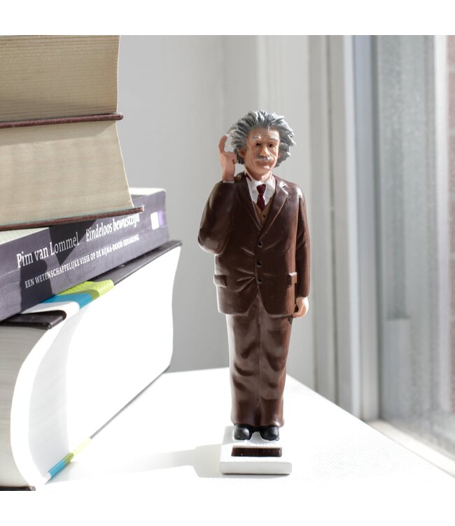 Kikkerland Solar Einstein