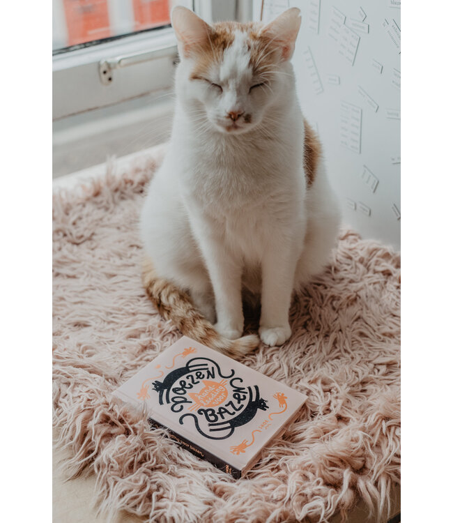 Uitgeverij Snor Poezen - een handleiding voor bazen