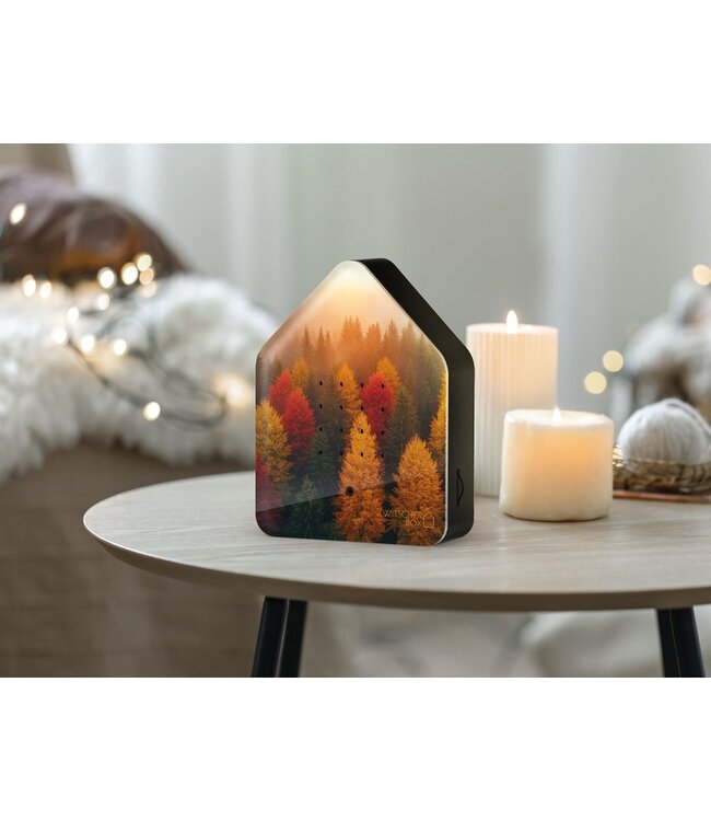 Relaxound 'Vogelhuis' Golden leaves | Zwitscherbox