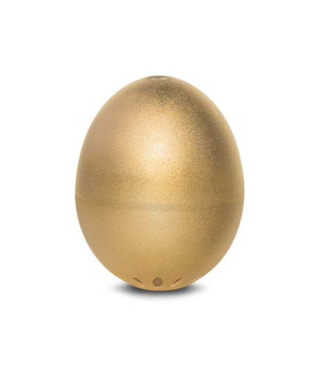 Brainstream Gouden PiepEi