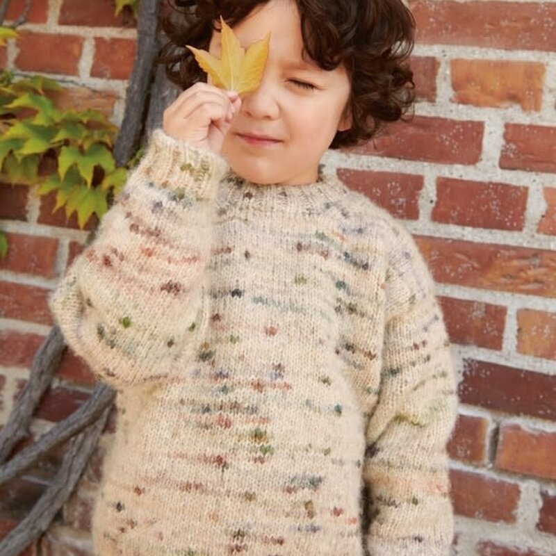 2408-08 DAVE SWEATER JUNIOR