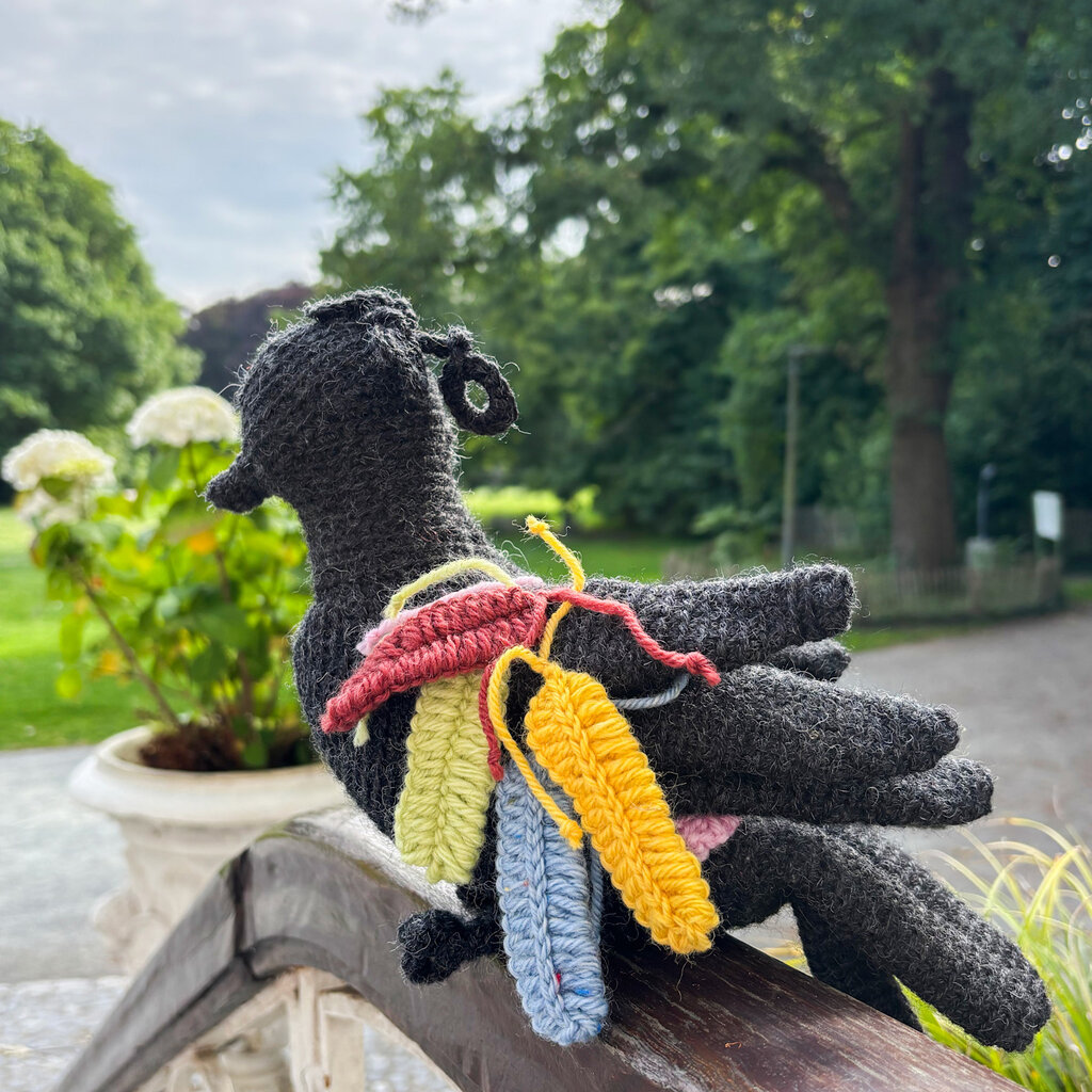 TRAANVOGEL HAAKPAKKET