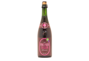 Gueuzerie Tilquin Oude Pinot Noir Tilquin à l'Ancienne - Hoptimaal