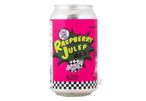 Ska Brewing Raspberry Julep Ale - Hoptimaal