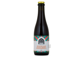 Vault City Winter Sun Vault City Winter Sun