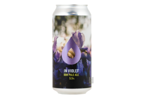 Polly's In Violet Polly's In Violet