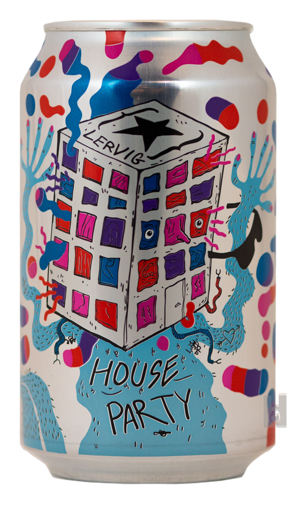 Lervig House Party