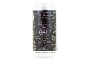 Hoppy People Understanding Nothing 