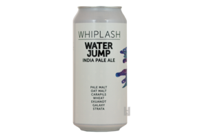 Whiplash Water Jump - Hoptimaal