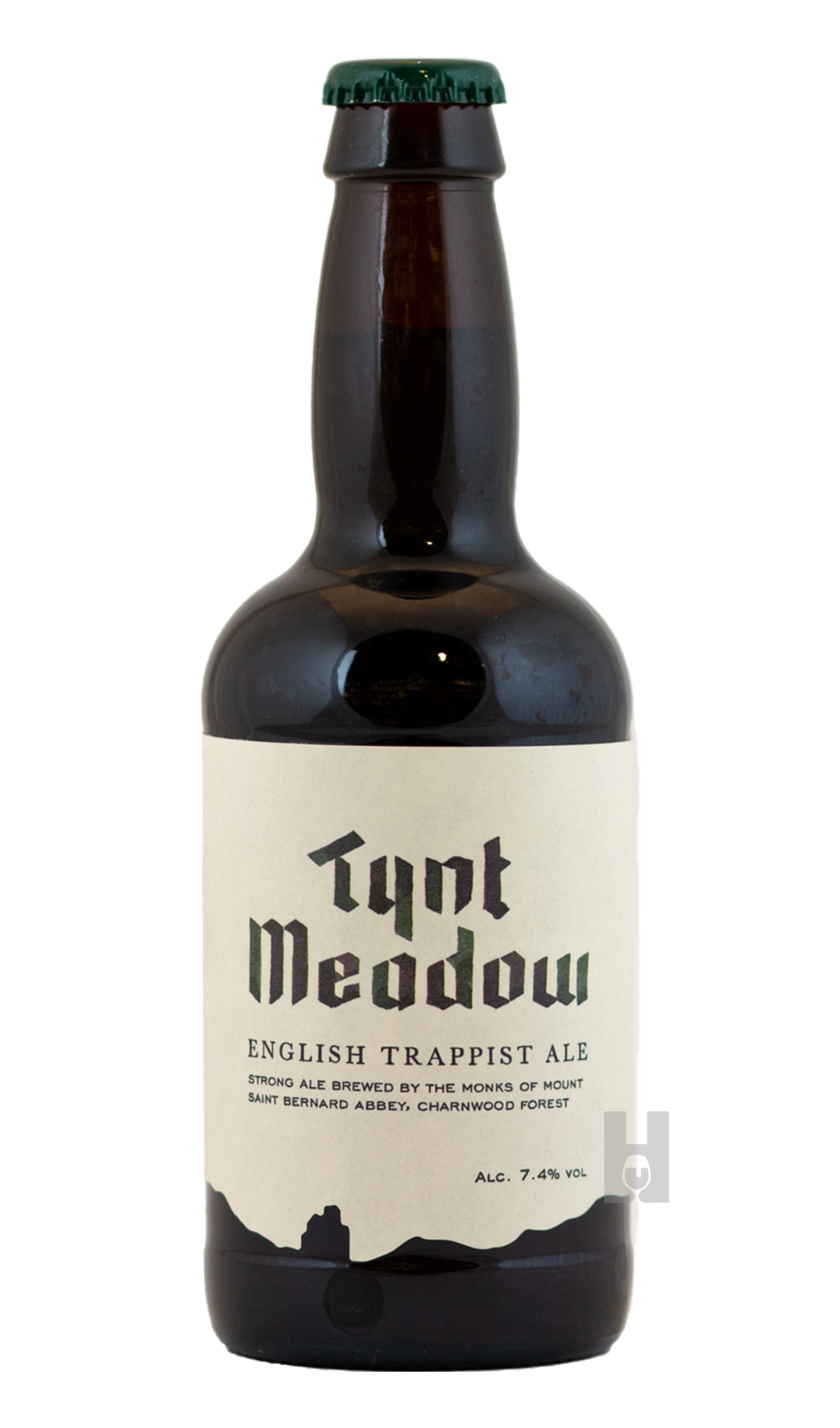 Tynt Meadow (2022)