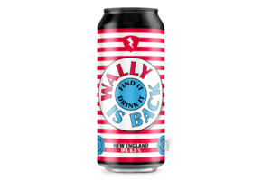 Rock City Wally Is Back Rock City Wally Is Back