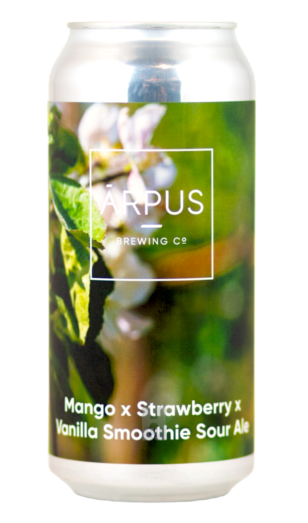 Arpus Mango x Strawberry x Vanilla Smoothie Sour Ale
