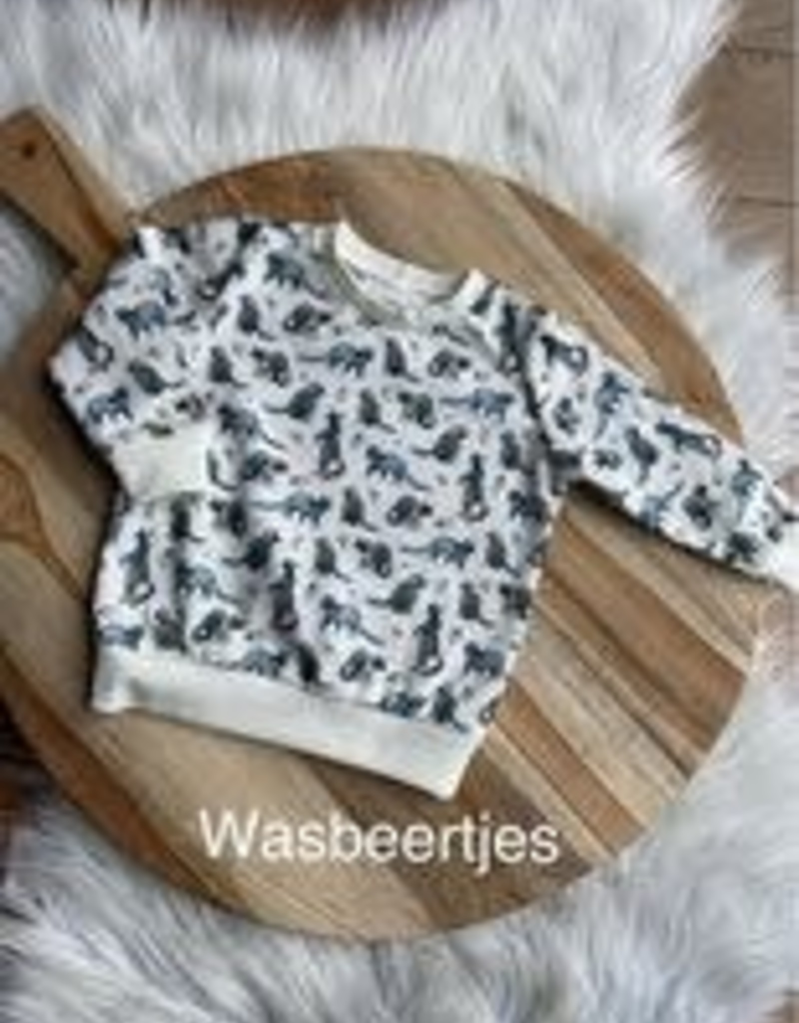 Stik-Stof Sweatshirt Wasbeertjes 62