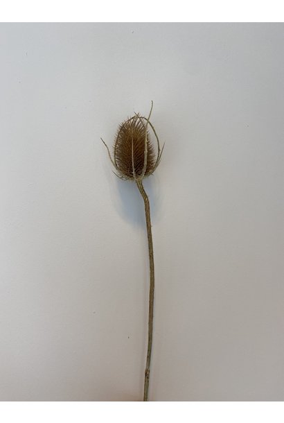 Flowerbar - Thistle Natural