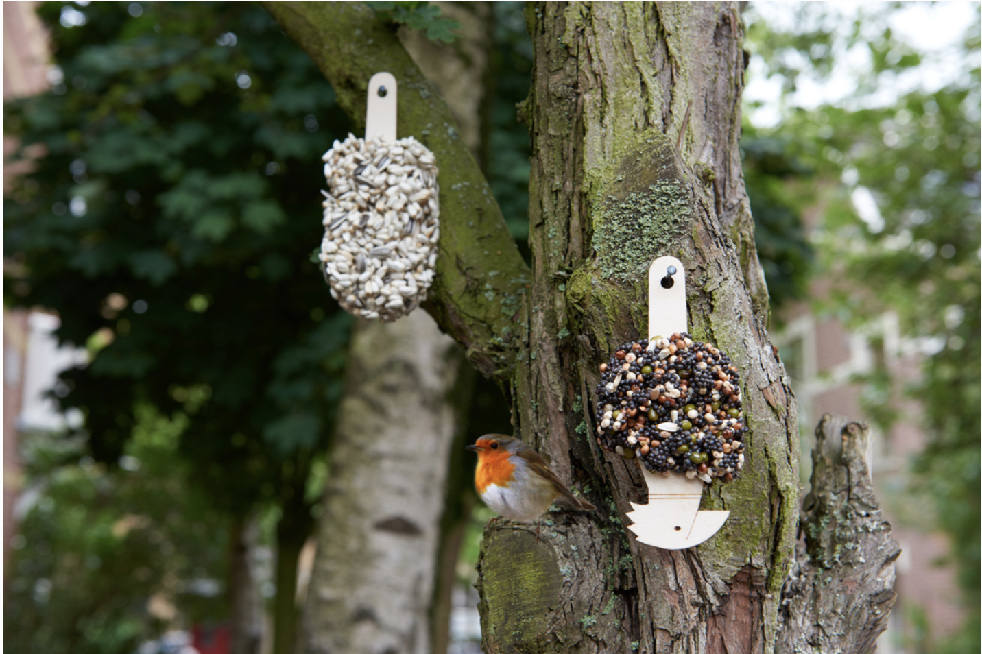 Desserts For Birds Classic Black - Studio Carmela-4