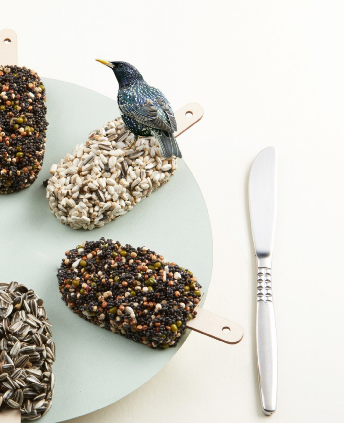 Desserts For Birds Classic Black - Studio Carmela-5