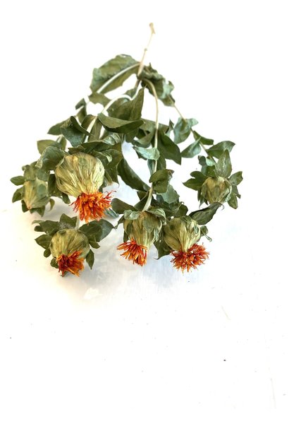 Flowerbar - Thistle Orange