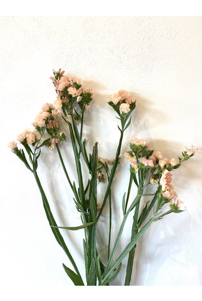 Flowerbar - Limonium Salmon Pink