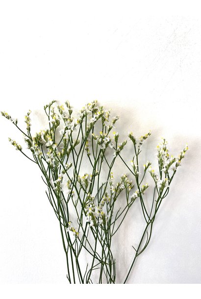 Flowerbar - Limonium White Fine